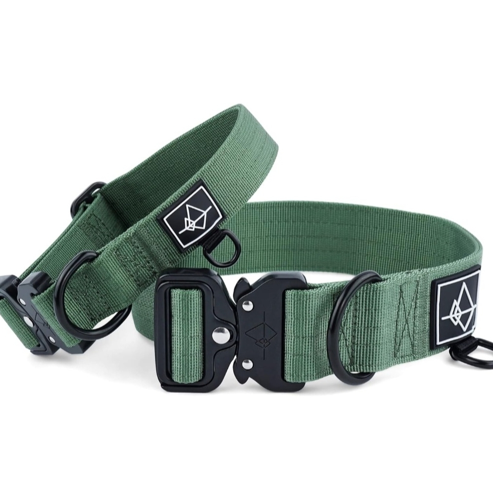 ROAM Green and Black Dog Collar with Durable Nylon and Quick-Release Buckle